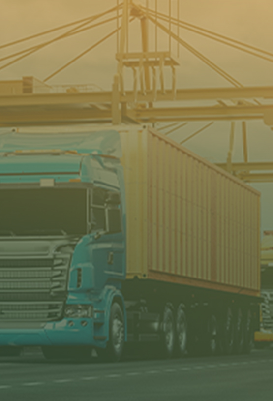 NJM Transport Management Team